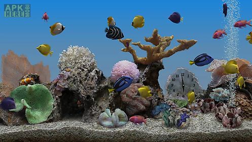 marine aquarium 3.3