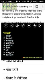 hindi dictionary pro