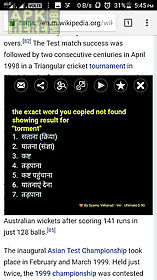 hindi dictionary pro