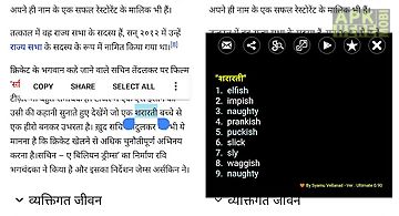 Hindi dictionary pro