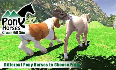 pony horses green hill sim 3d