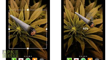 Weed joint battery widget live