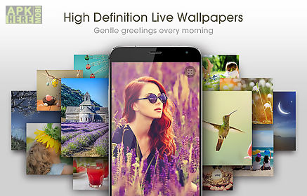zui wallpaper-hd live images