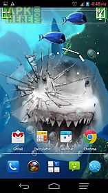 angry shark pet cracks screen