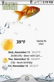 weather forecast widget