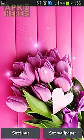 pink tulips live wallpaper
