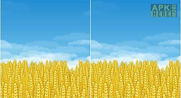 Wheat field 3d  Live Wallpaper