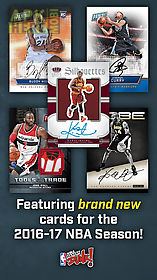 nba dunk from panini