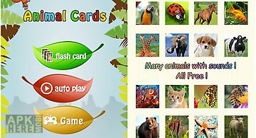 Baby learning card - animal