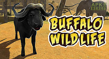Buffalo sim: bull wild life