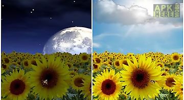 Sunflower lw free + weather