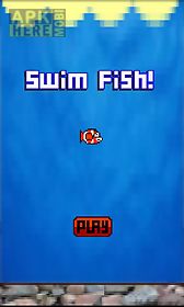 swim fish