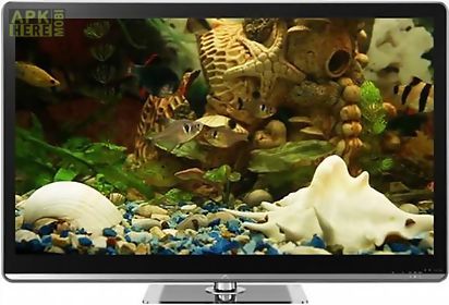 fish tank on tv via chromecast next