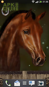 arabian horse free wallpaper
