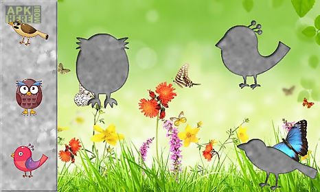 birds puzzles for toddlers !
