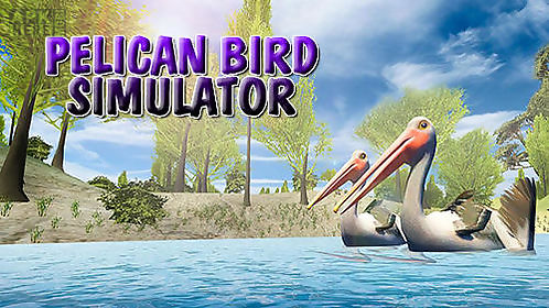 pelican bird simulator 3d