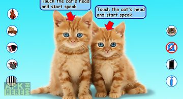 Talking cats