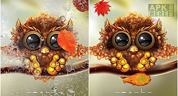 Autumn little owl wallpaper