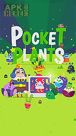 pocket plants