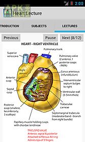 anatomy heart lecture