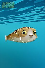 blowfish -  live wallpaper