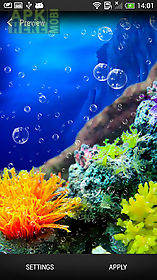 coral reef live wallpaper
