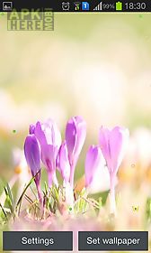 early spring: nature live wallpaper