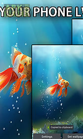 goldfish in your phone  live wallpaper