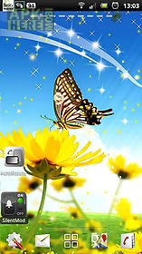  butterfly live wallpaper