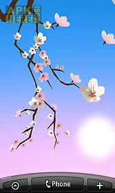 lovely sakura  live wallpaper