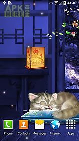 sleeping kitten live wallpaper