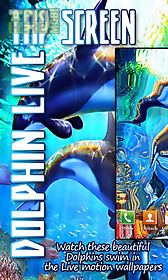 tap screen dolphins swim live free live wallpaper