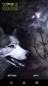 wolf and moon live wallpaper