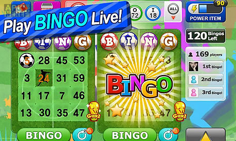 bingo craze