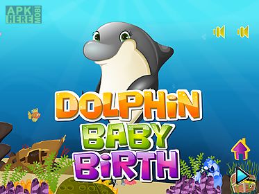 dolphin baby birth