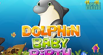 Dolphin baby birth