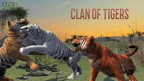 clan of tigers