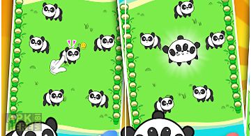 Panda evolution - 🐼clicker