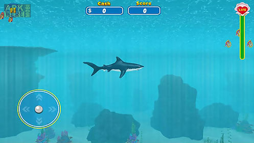 shark attack wild simulator