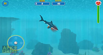 Shark attack wild simulator