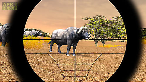 safari hunting 4x4