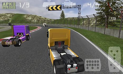 truck driver 3d racer