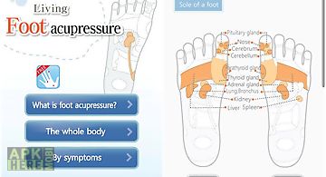 Foot massage acupressure