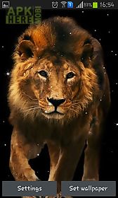 lion live wallpaper