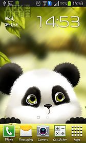 panda live wallpaper