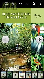 bird watching malaysia