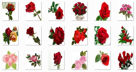 new rose flowers onet classic game