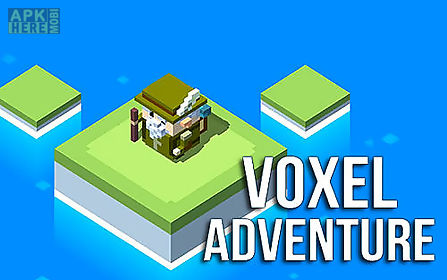 voxel adventure