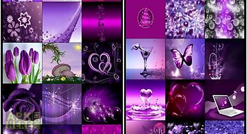 Lovely purple hd wallpapers