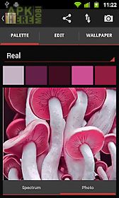 real colors, palette generator
